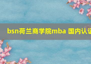 bsn荷兰商学院mba 国内认证